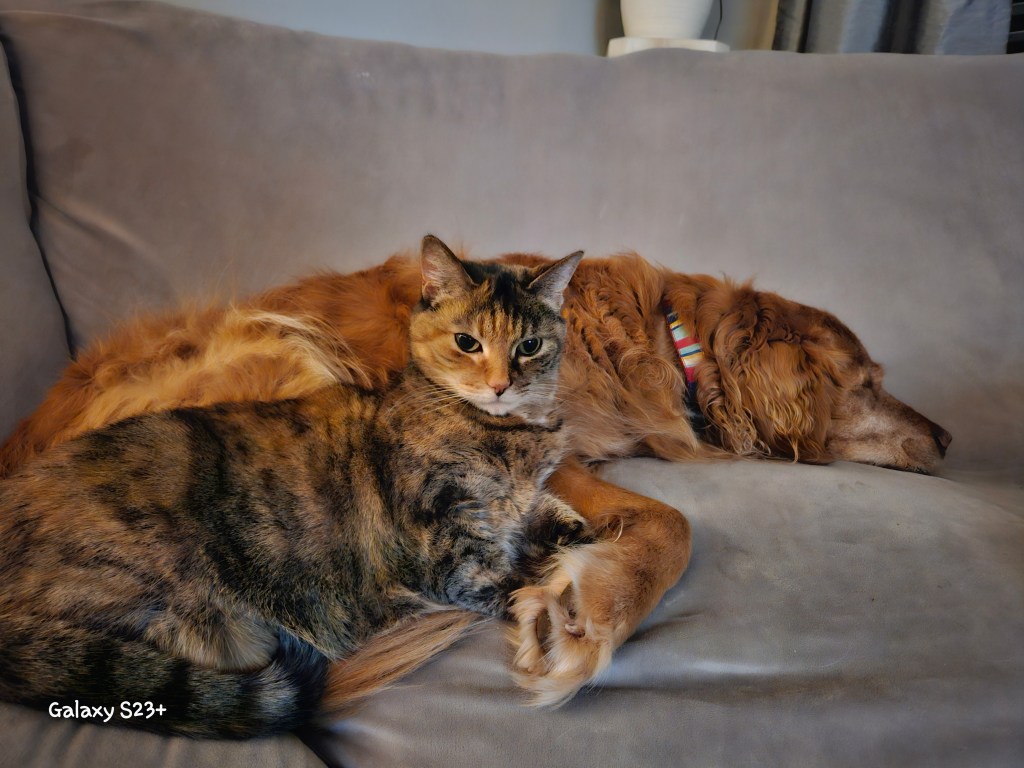 Ginny being so happy we're home (1/25/2026)