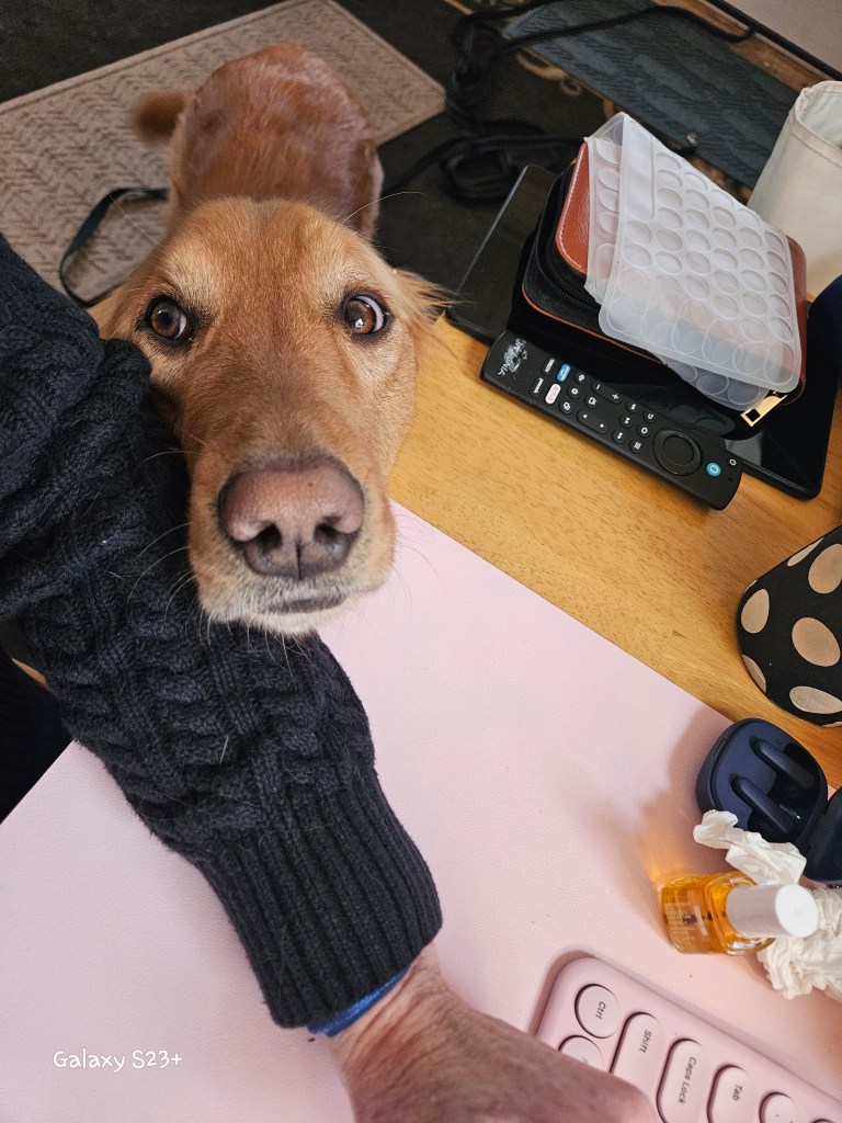 C'mon momma - I wanna play and you've been on the phone FOREVER