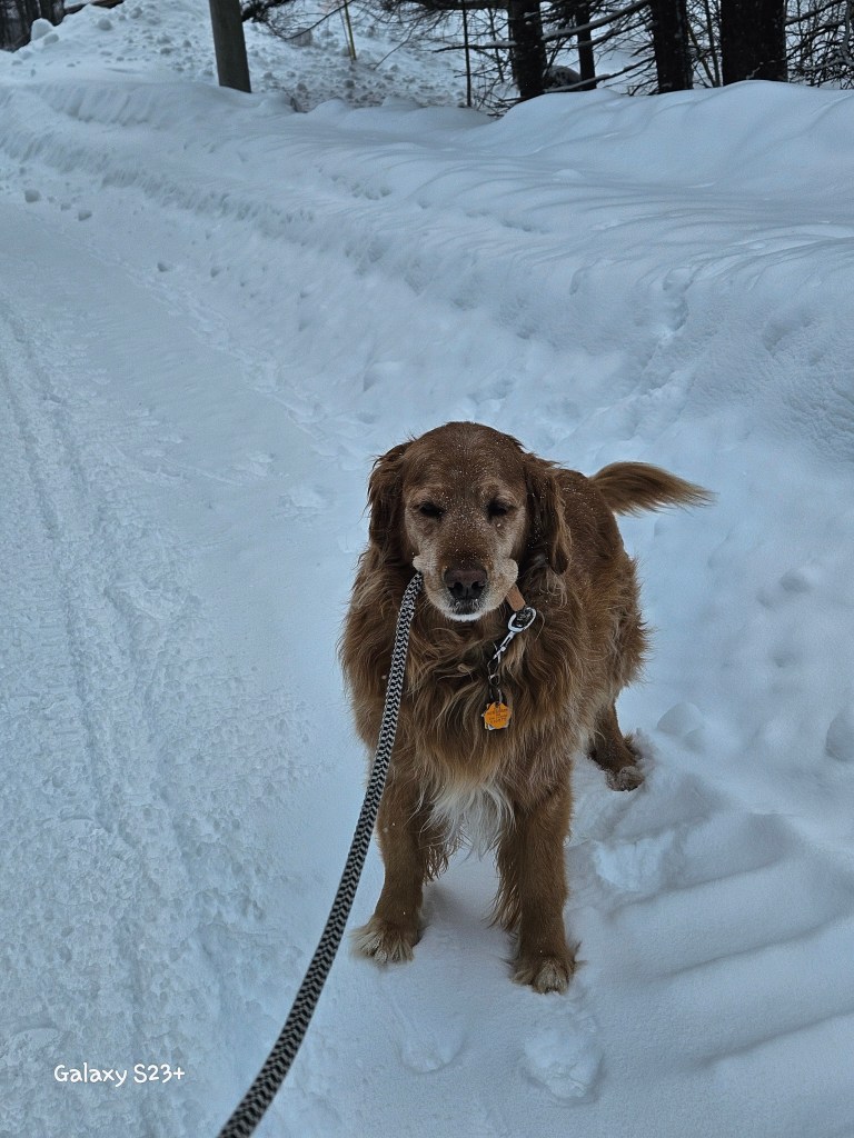 Quick walk during PI Planning